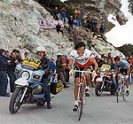 due ruote in rosa by fabrizio delmati